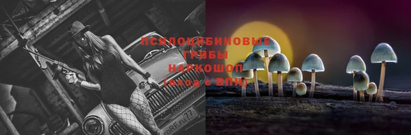 jwh Бородино