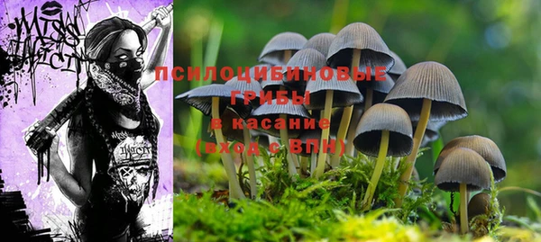 jwh Бородино