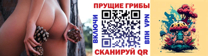 МЕГА ONION Чишмы Галлюциногенные грибы Cubensis